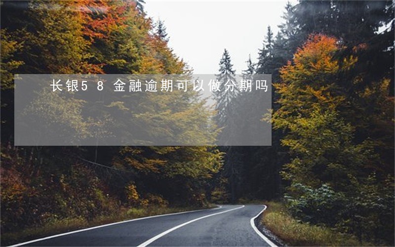 长银58金融逾期可以做分期吗