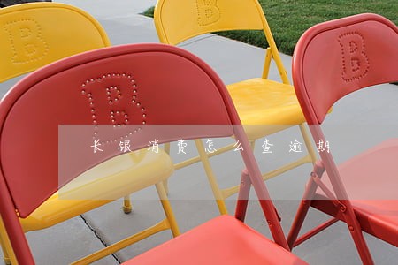 长银消费怎么查逾期 长银消费怎么查逾期