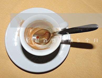 长银消费逾期5个月 长银消费逾期5个月