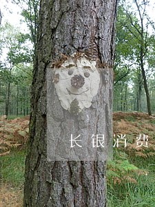长银消费金融逾期一天后果