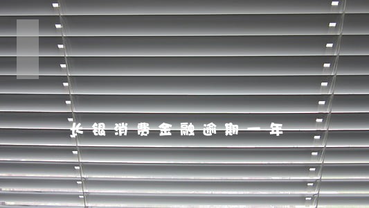 长银消费金融逾期一年 长银消费金融逾期一年