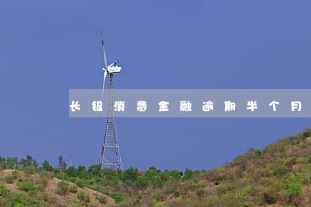 长银消费金融逾期半个月 长银消费金融逾期半个月