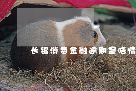 长银消费金融逾期是啥情况 长银消费金融逾期是啥情况
