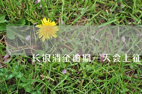 长银消金逾期一天会上征信吗 长银消金逾期一天会上征信吗