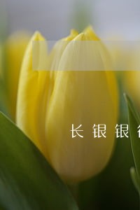 长银银行总是给我发逾期信息 长银银行总是给我发逾期信息