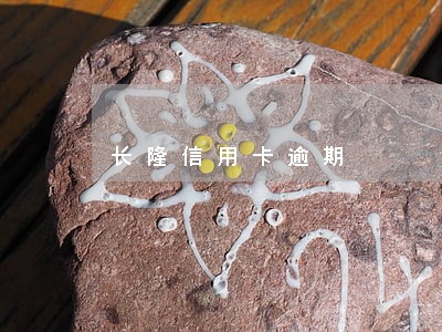 长隆信用卡逾期 长隆信用卡逾期