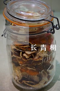 长青树逾期一个月会怎么样 长青树逾期一个月会怎么样