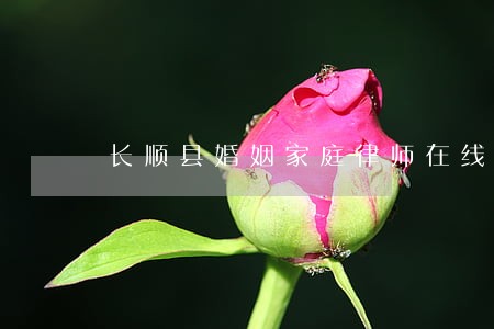 长顺县婚姻家庭律师在线免费咨询 长顺县婚姻家庭律师在线免费咨询