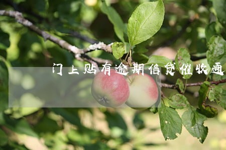 门上贴有逾期信贷催收通知书 门上贴有逾期信贷催收通知书