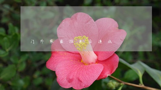 门外装监控是否违法 门外装监控是否违法