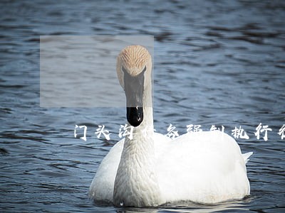 门头沟债务强制执行律师