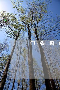 门头沟债务纠纷律师排名 门头沟债务纠纷律师排名