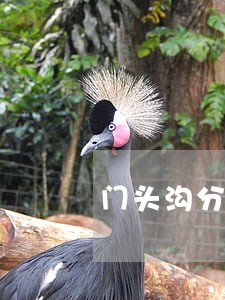 门头沟分家析产律师多少钱 门头沟分家析产律师多少钱