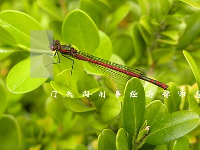 门头沟刑事经济律师怎么收费
