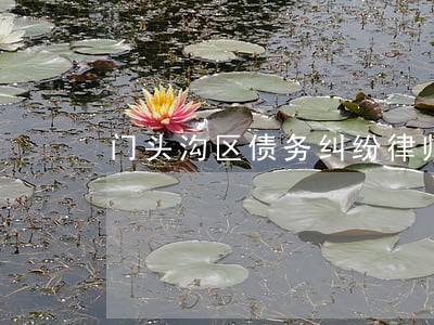 门头沟区债务纠纷律师哪家不错 门头沟区债务纠纷律师哪家不错