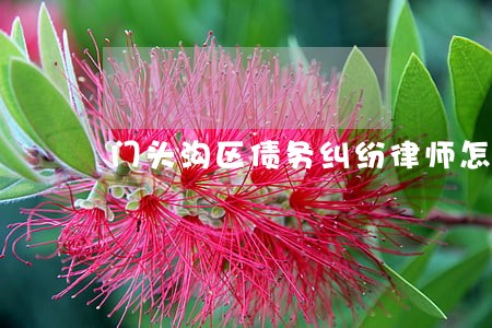 门头沟区债务纠纷律师怎么收费 门头沟区债务纠纷律师怎么收费