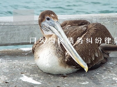 门头沟区债务纠纷律师怎么选北京 门头沟区债务纠纷律师怎么选北京