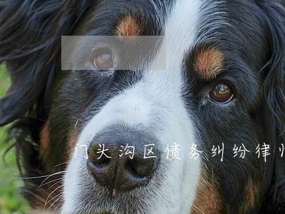 门头沟区债务纠纷律师选哪家