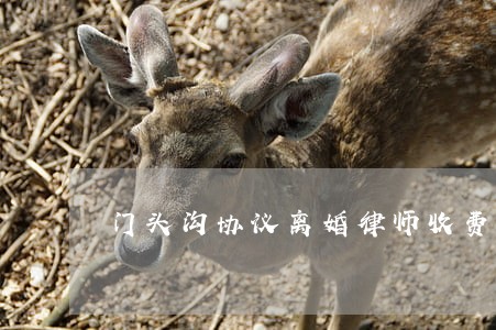 门头沟协议离婚律师收费 门头沟协议离婚律师收费
