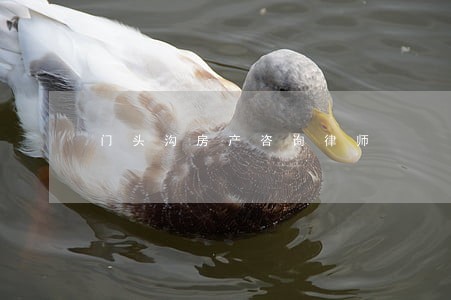 门头沟房产咨询律师 门头沟房产咨询律师