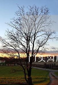 门头沟房地产律师排行 门头沟房地产律师排行