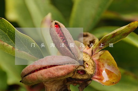 门头沟法院几点上班 门头沟法院几点上班