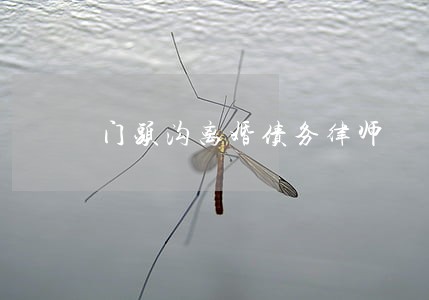 门头沟离婚债务律师 门头沟离婚债务律师