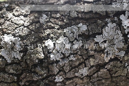 门店使用喇叭违法吗 门店使用喇叭违法吗