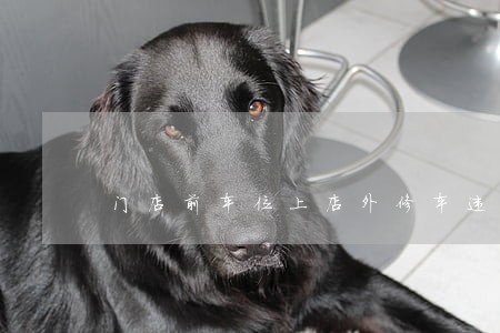 门店前车位上店外修车违法吗 门店前车位上店外修车违法吗