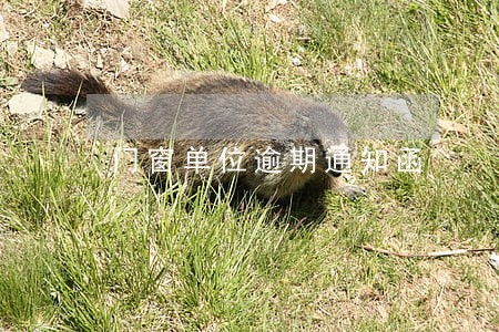 门窗单位逾期通知函 门窗单位逾期通知函