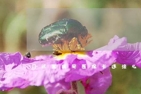 门诊套病号医保卡违法么