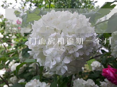 门面房租逾期一个月 门面房租逾期一个月