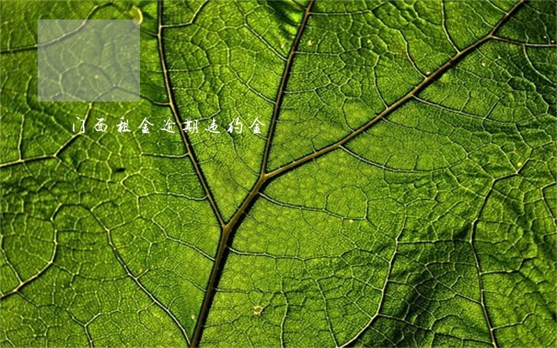 门面租金逾期违约金 门面租金逾期违约金