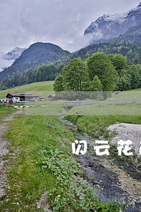 闪云花逾期10天打电话会怎么样 闪云花逾期10天打电话会怎么样