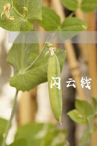 闪云钱包逾期 闪云钱包逾期