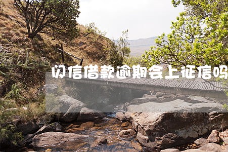 闪信借款逾期会上征信吗 闪信借款逾期会上征信吗
