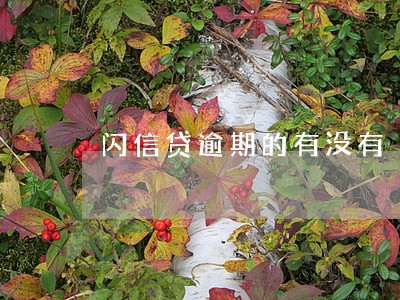 闪信贷逾期的有没有 闪信贷逾期的有没有