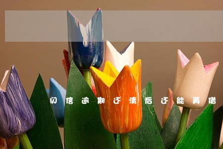 闪信逾期还清后还能再借吗 闪信逾期还清后还能再借吗