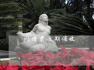 闪借宝逾期催收 闪借宝逾期催收