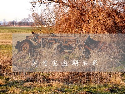 闪借宝逾期后果 闪借宝逾期后果
