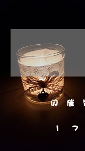 闪催资产管理公司违法吗/2023020175775 闪催资产管理公司违法吗/2023020175775