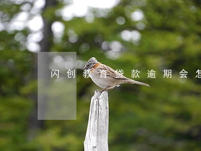 闪创教育贷款逾期会怎样 闪创教育贷款逾期会怎样