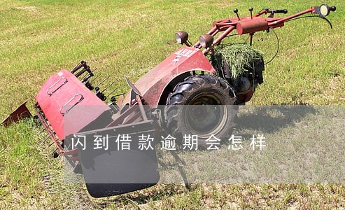 闪到借款逾期会怎样 闪到借款逾期会怎样
