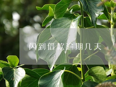 闪到借款逾期几天 闪到借款逾期几天