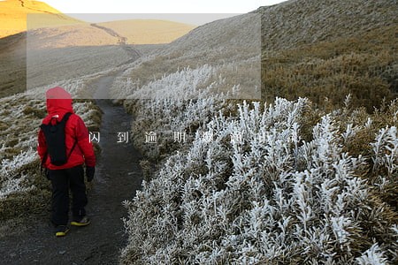 闪到逾期爆通讯录 闪到逾期爆通讯录