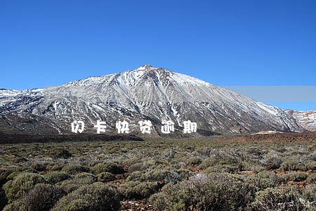 闪卡快贷逾期 闪卡快贷逾期
