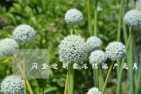闪垫逾期要冻结账户是真的么 闪垫逾期要冻结账户是真的么