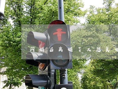 闪婚后离婚了又想复婚 闪婚后离婚了又想复婚