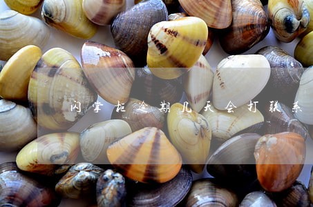 闪掌柜逾期几天会打联系你电 闪掌柜逾期几天会打联系你电