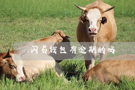 闪易钱包有逾期的吗 闪易钱包有逾期的吗